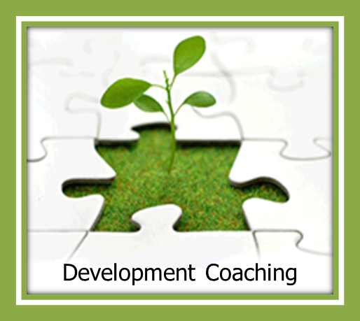 Development Coaching